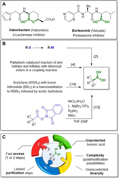 Rapid approach to complex boronic acids 